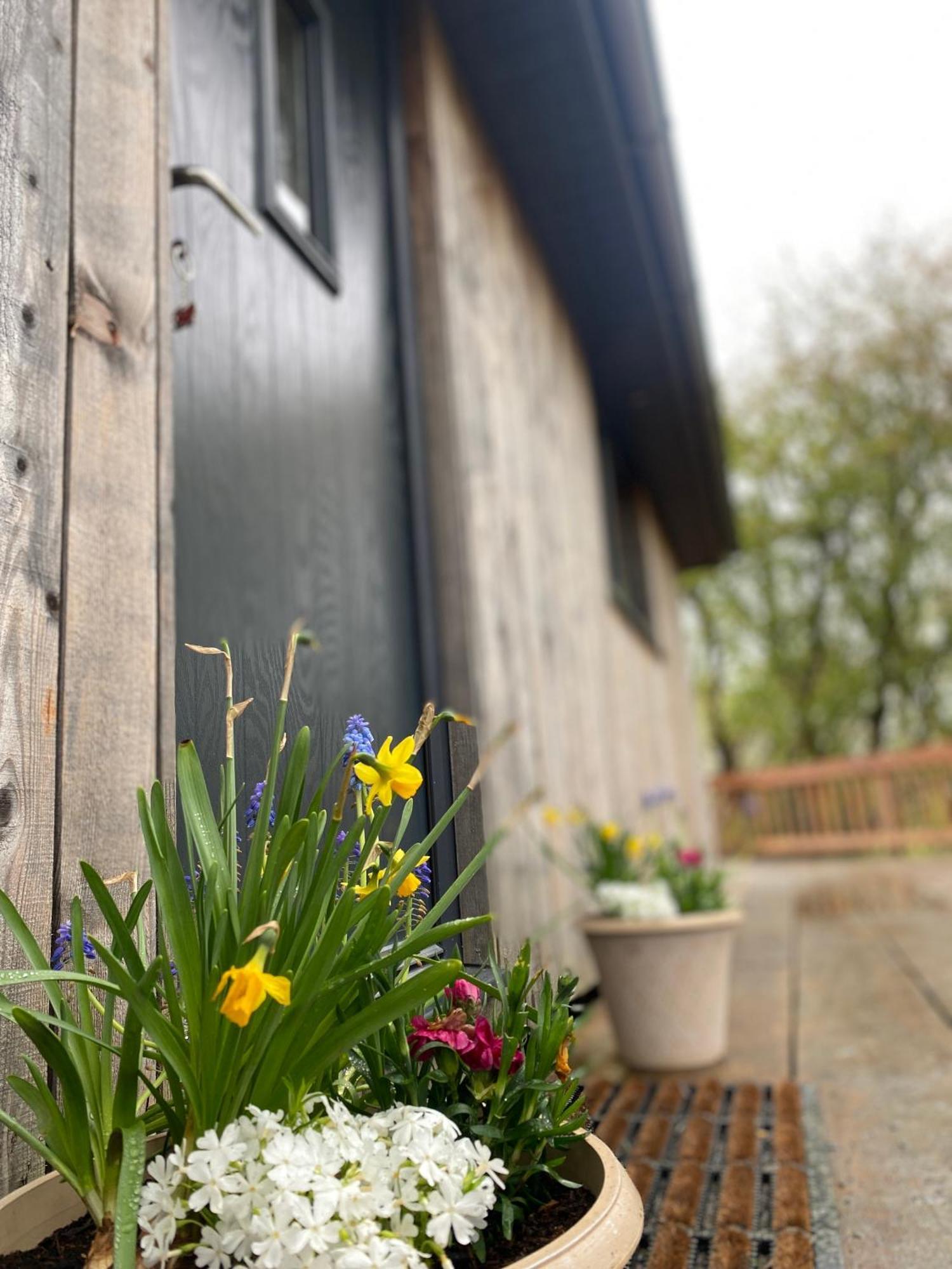 Holiday home Glyndwr Way Machynlleth