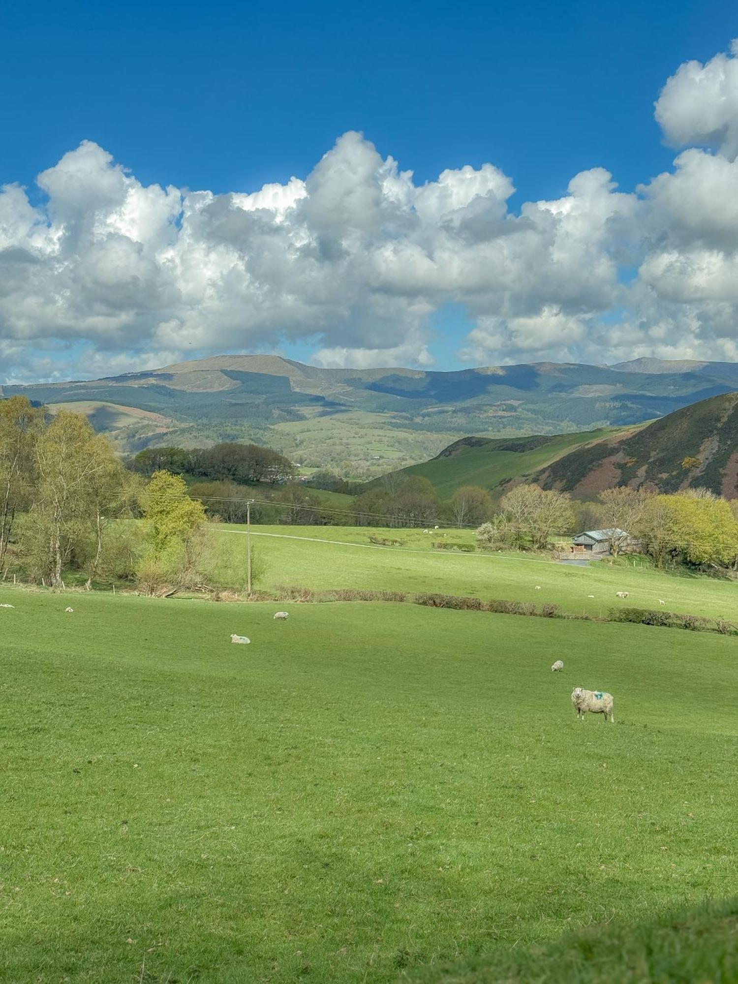 Glyndwr Way